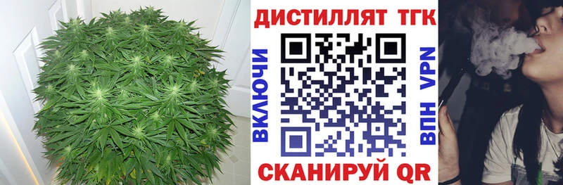 ТГК Wax  даркнет сайт  Сертолово 