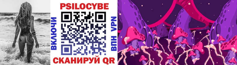 blacksprut ССЫЛКА  как найти закладки  Сертолово  Галлюциногенные грибы Psilocybine cubensis 