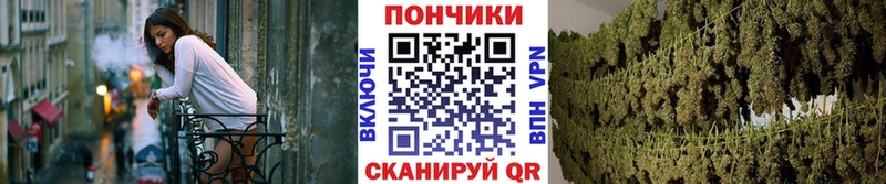 Конопля планчик  Сертолово 